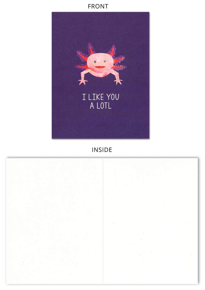 Nerdy Words Axolotl Valentine's Day/Love/Anniversary Card (4.25" X 5.5") | I Like You A Lotl by Nerdy Words - Image 1